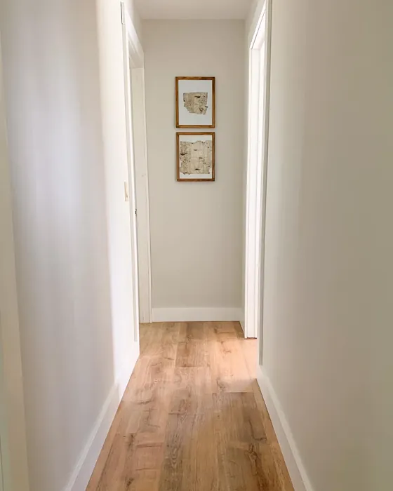 Behr Campfire Ash hallway color