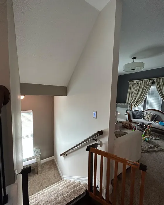 Behr Campfire Ash hallway color review