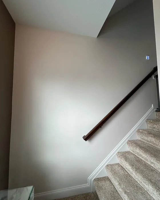 Behr Campfire Ash hallway review