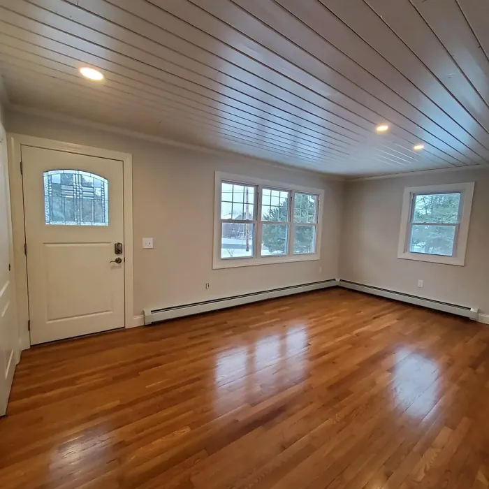 Behr Campfire Ash wall paint 