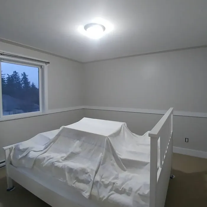 Behr Campfire Ash bedroom color review