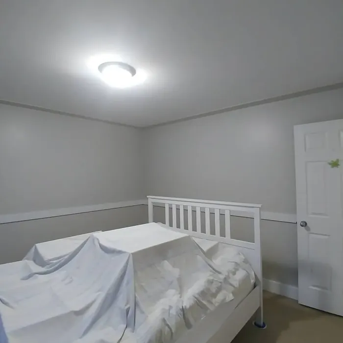 Behr Campfire Ash bedroom paint