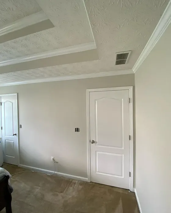 Behr Campfire Ash wall paint makeover