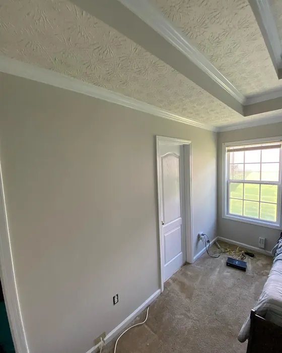 Behr Campfire Ash wall paint photo