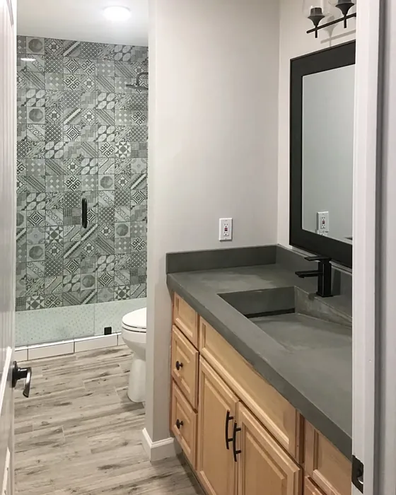 Behr Campfire Ash bathroom photo