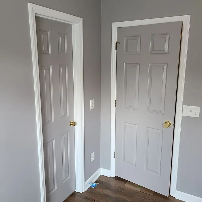 Cathedral Gray door color