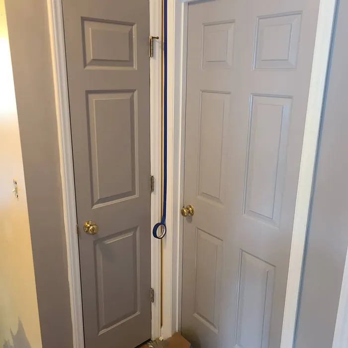 Cathedral Gray door color review