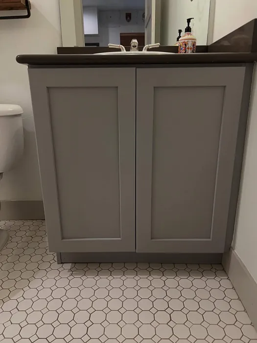 Behr Cathedral Gray bathroom vanity color