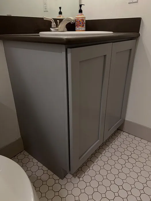 Behr Cathedral Gray bathroom vanity photo