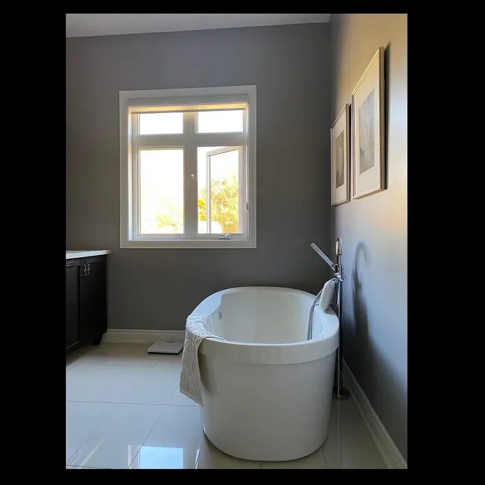 Behr Cathedral Gray bathroom paint