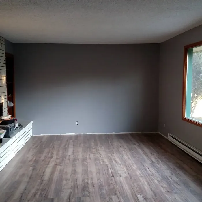 Behr Cathedral Gray wall paint review