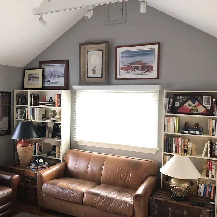 Behr Cathedral Gray living room color