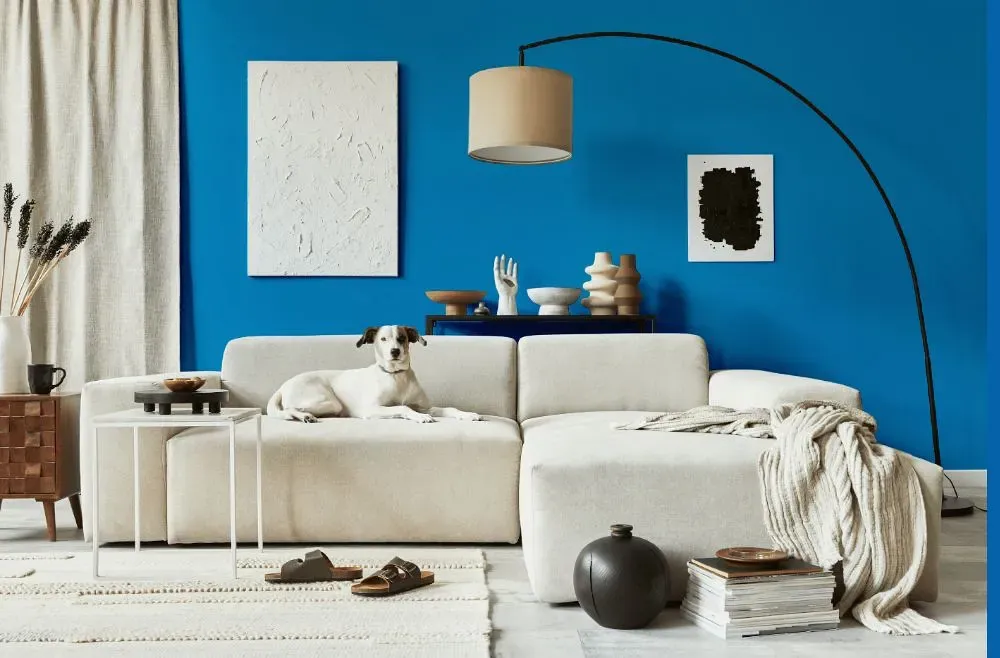 Behr Celebration Blue cozy living room