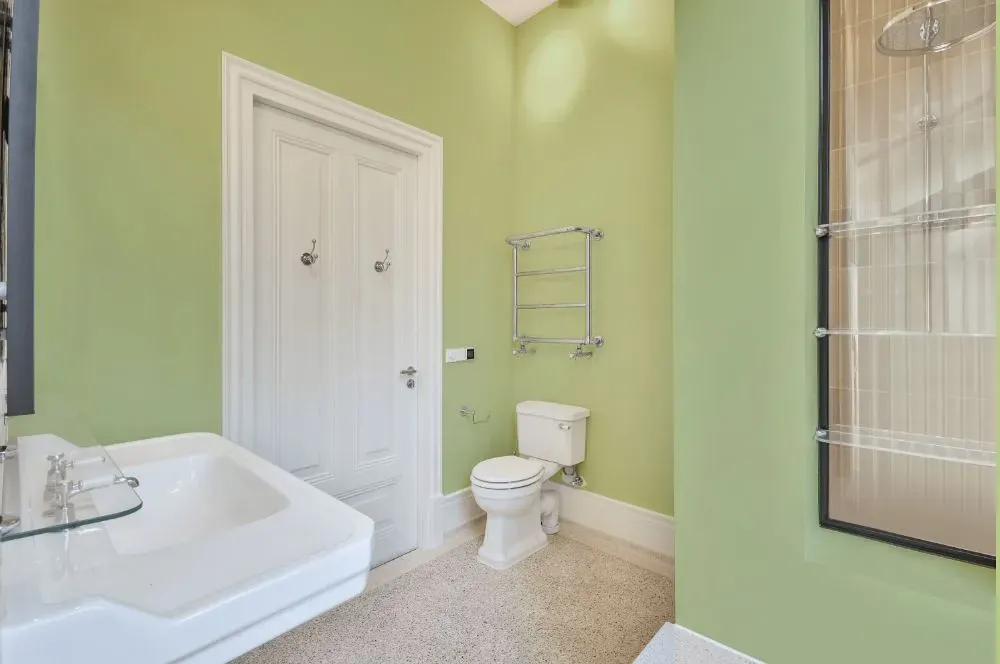 Behr Chameleon Skin bathroom