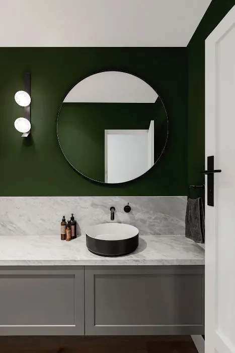 Behr Chard minimalist bathroom