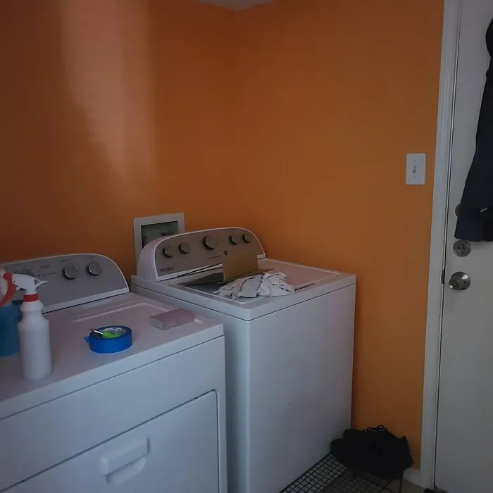Behr Cheerful Tangerine laundry room color