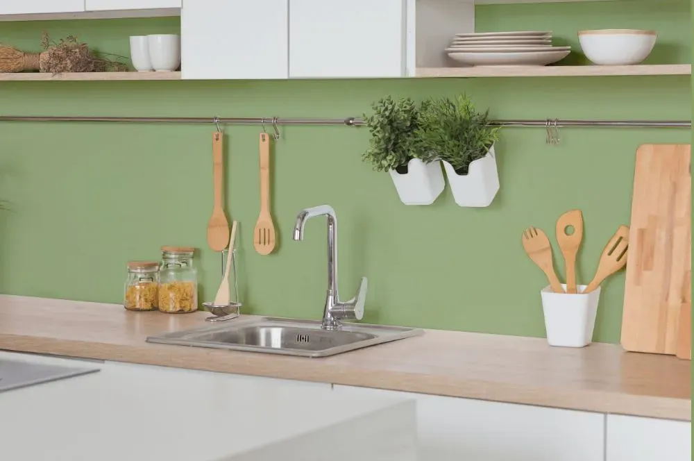 Behr Chervil Leaves kitchen backsplash