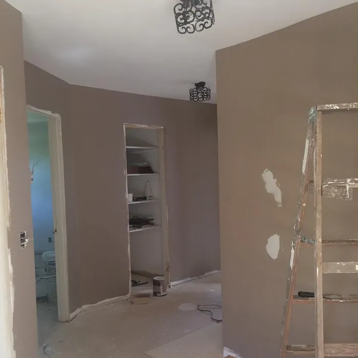 Behr Chic Taupe wall paint 