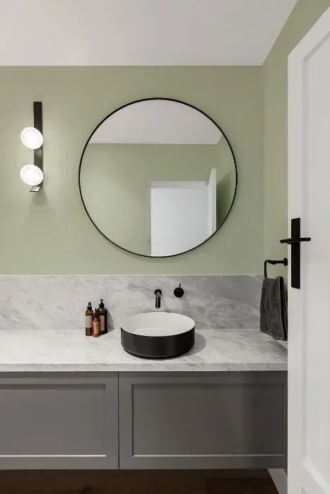 Behr Chinese Jade minimalist bathroom