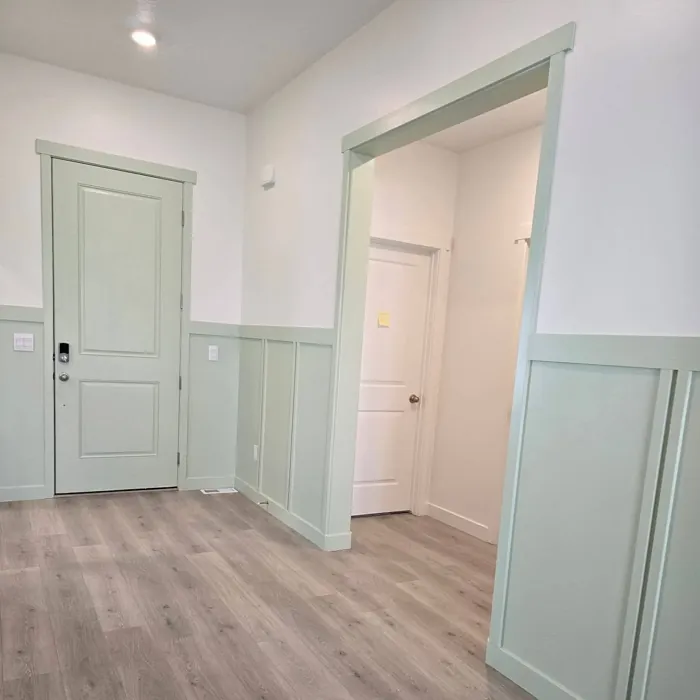 Behr Chinese Jade wall panelling color