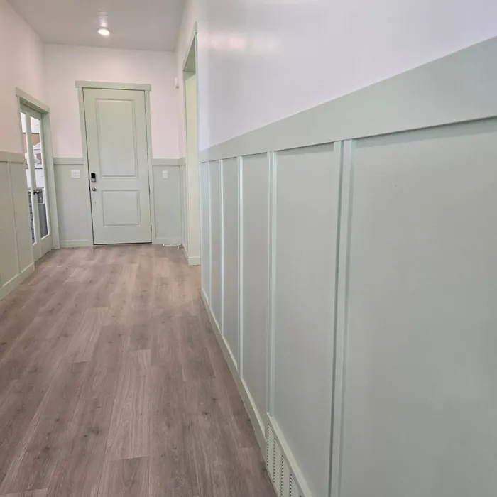 Behr Chinese Jade wall panelling 