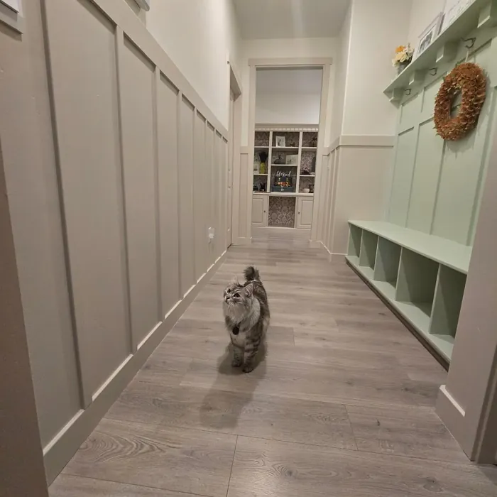 Behr Chinese Jade painted cabinets review