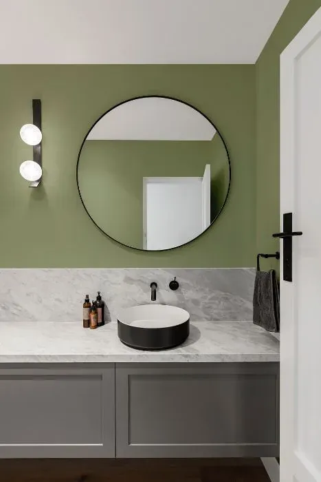 Behr Clary Sage minimalist bathroom