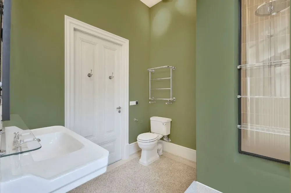 Behr Clary Sage bathroom