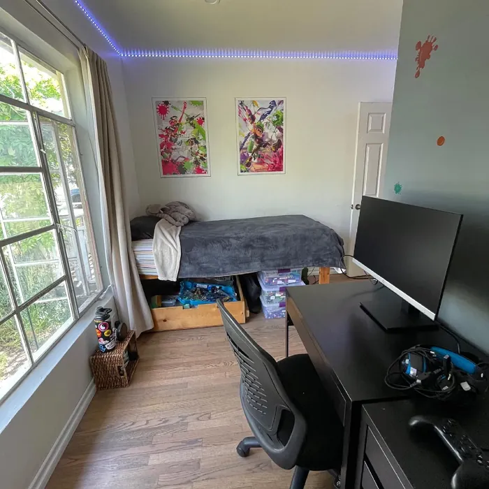 Behr Coastal Storm boysroom accent wall