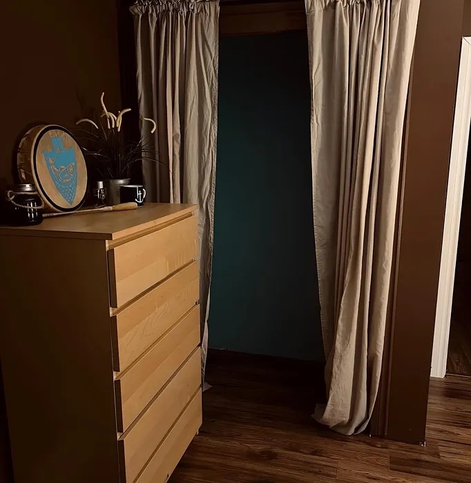 Behr Coffee Beans bedroom paint