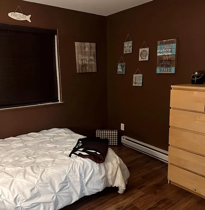 Behr Coffee Beans bedroom interior