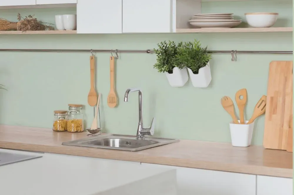 Behr Comforting Green kitchen backsplash