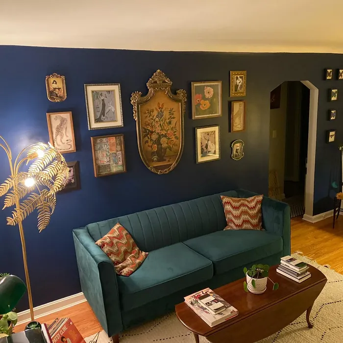 Behr Compass Blue bohemian living room interior