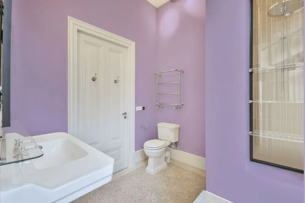 Behr Confetti bathroom