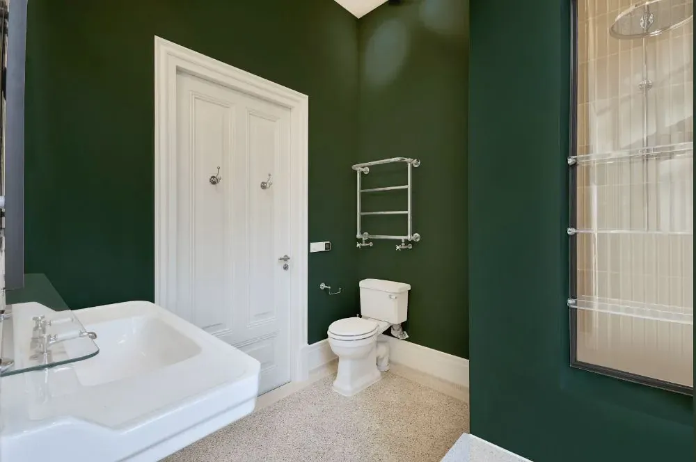 Behr Congo bathroom