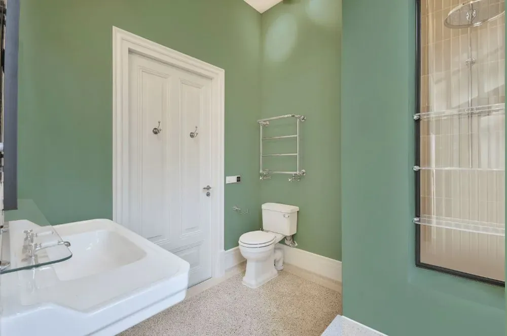 Behr Copper Patina bathroom