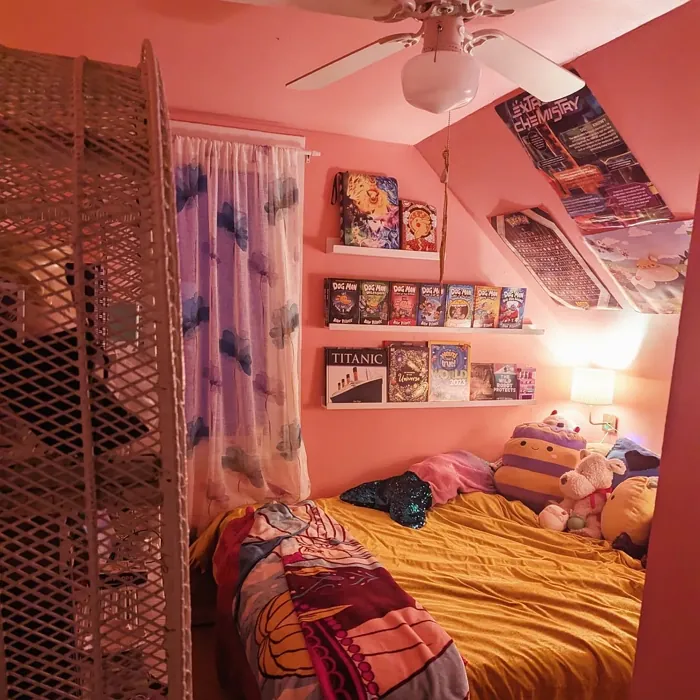 Behr Coral Fountain kids' room 