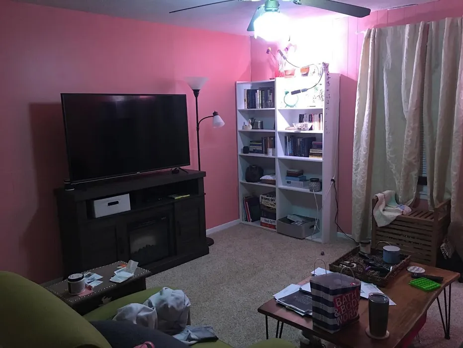 Behr Coral Fountain living room 