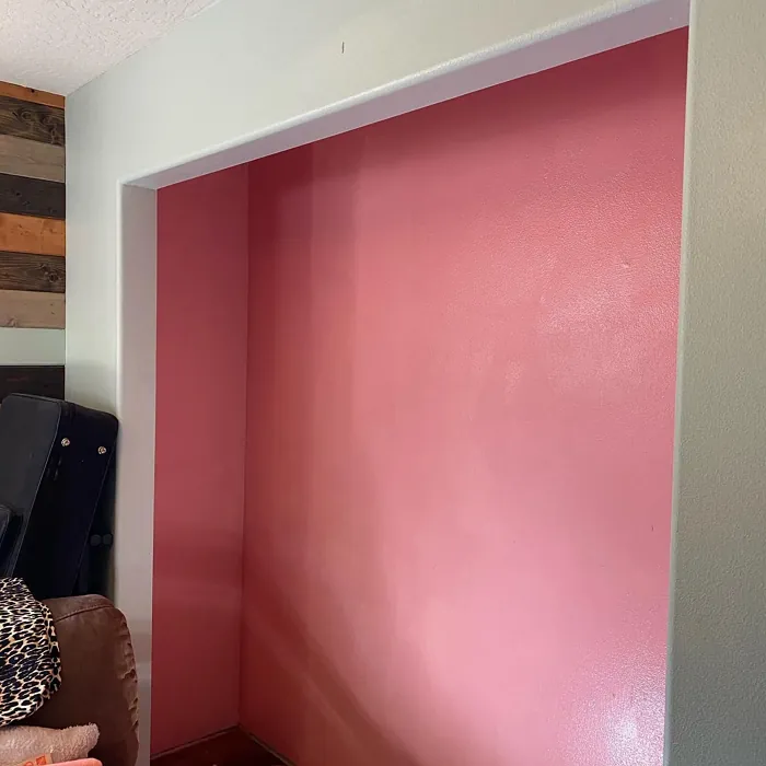 Behr Coral Fountain accent wall 