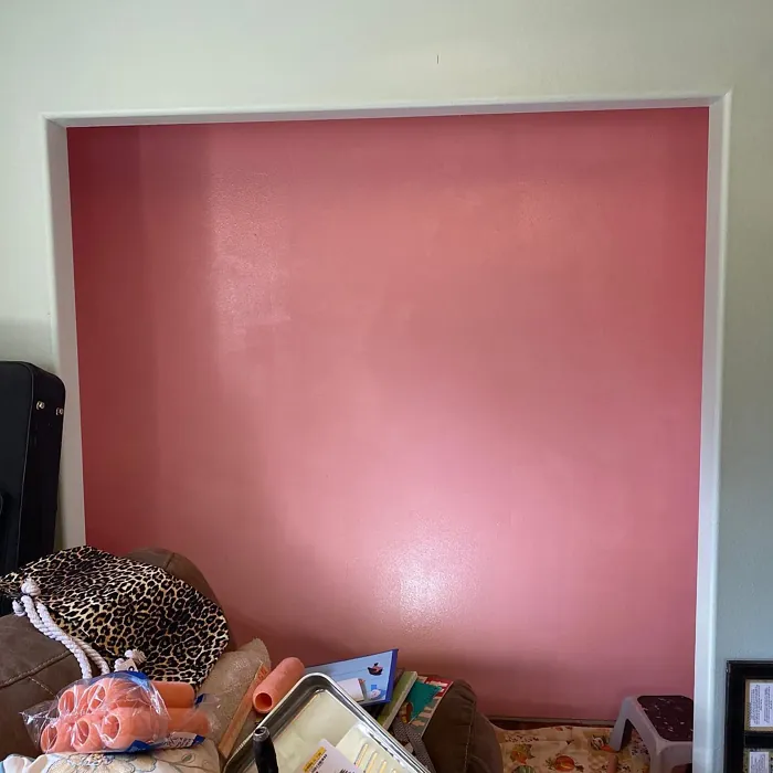 Behr MQ4-03 accent wall 