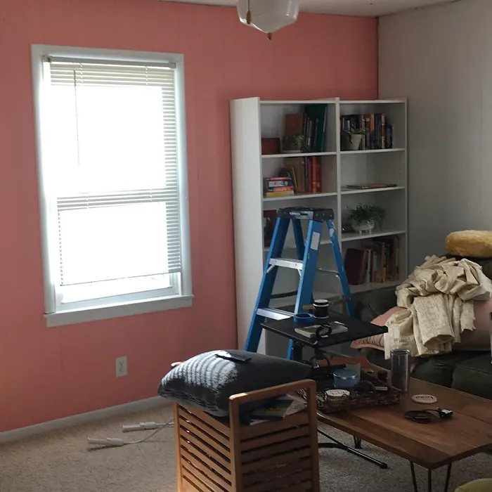 Coral Fountain living room accent wall