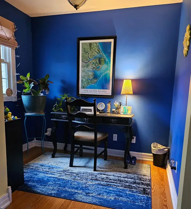 Behr Cosmic Cobalt eclectic home office color