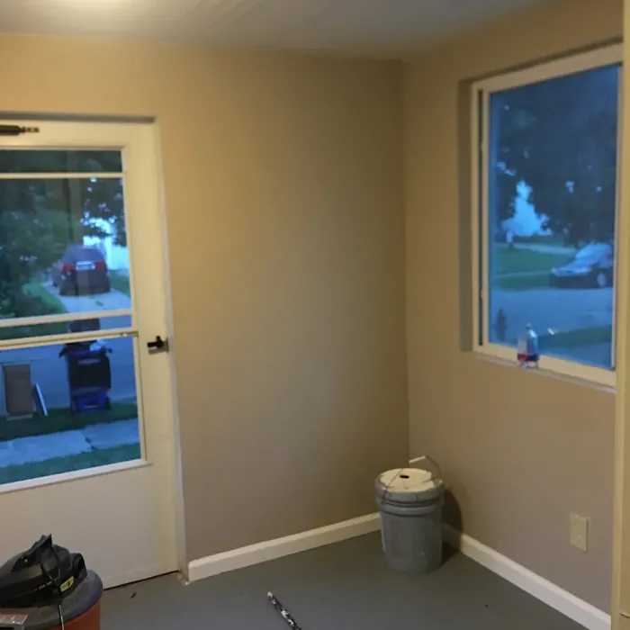 Behr Creamy Mushroom wall paint color review