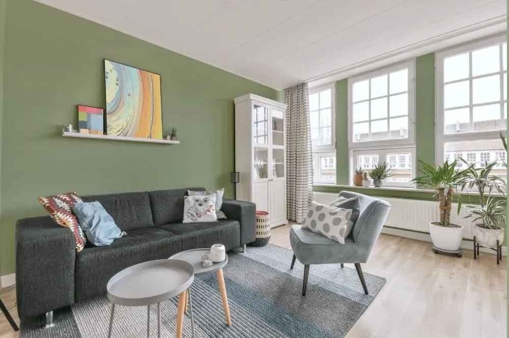 Behr Creamy Spinach living room walls