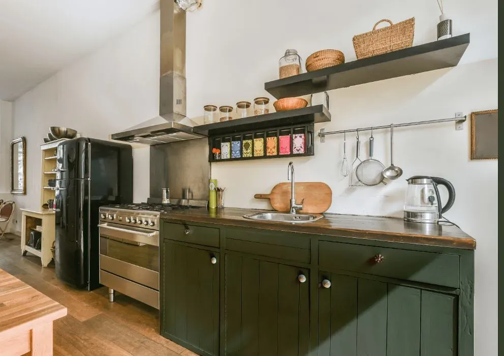 Behr Cypress Vine kitchen cabinets
