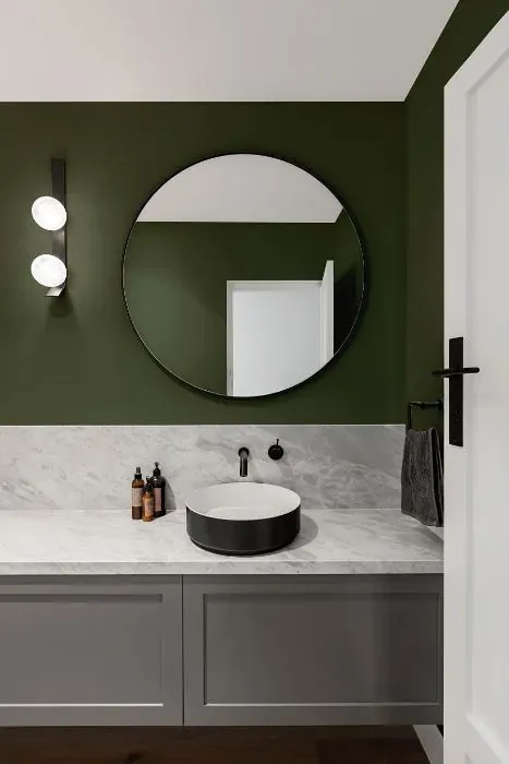 Behr Cypress Vine minimalist bathroom