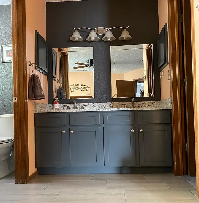 Behr Dark Ash bathroom interior