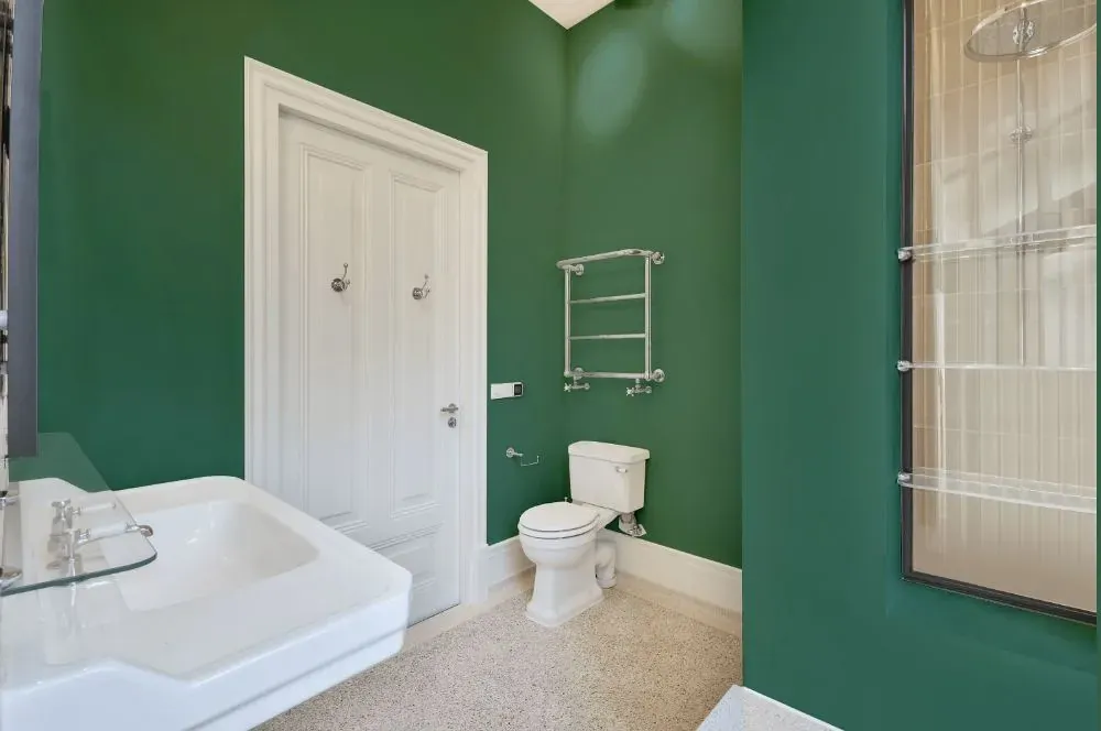 Behr Dark Jade MQ6-43: 23 real home pictures