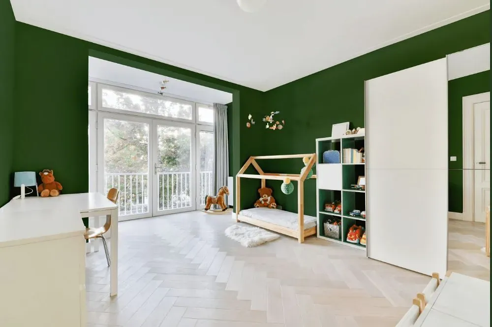 Behr Deep Viridian kidsroom interior, children's room