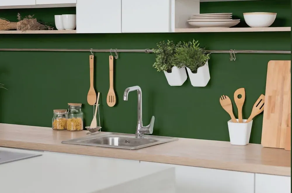 Behr Deep Viridian kitchen backsplash